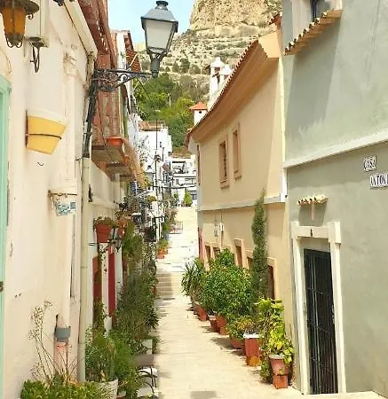 El Barrio , Playa Y Casco Antiguo * Alicante
