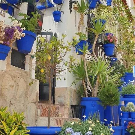 El Barrio , Playa Y Casco Antiguo Apartment Alicante